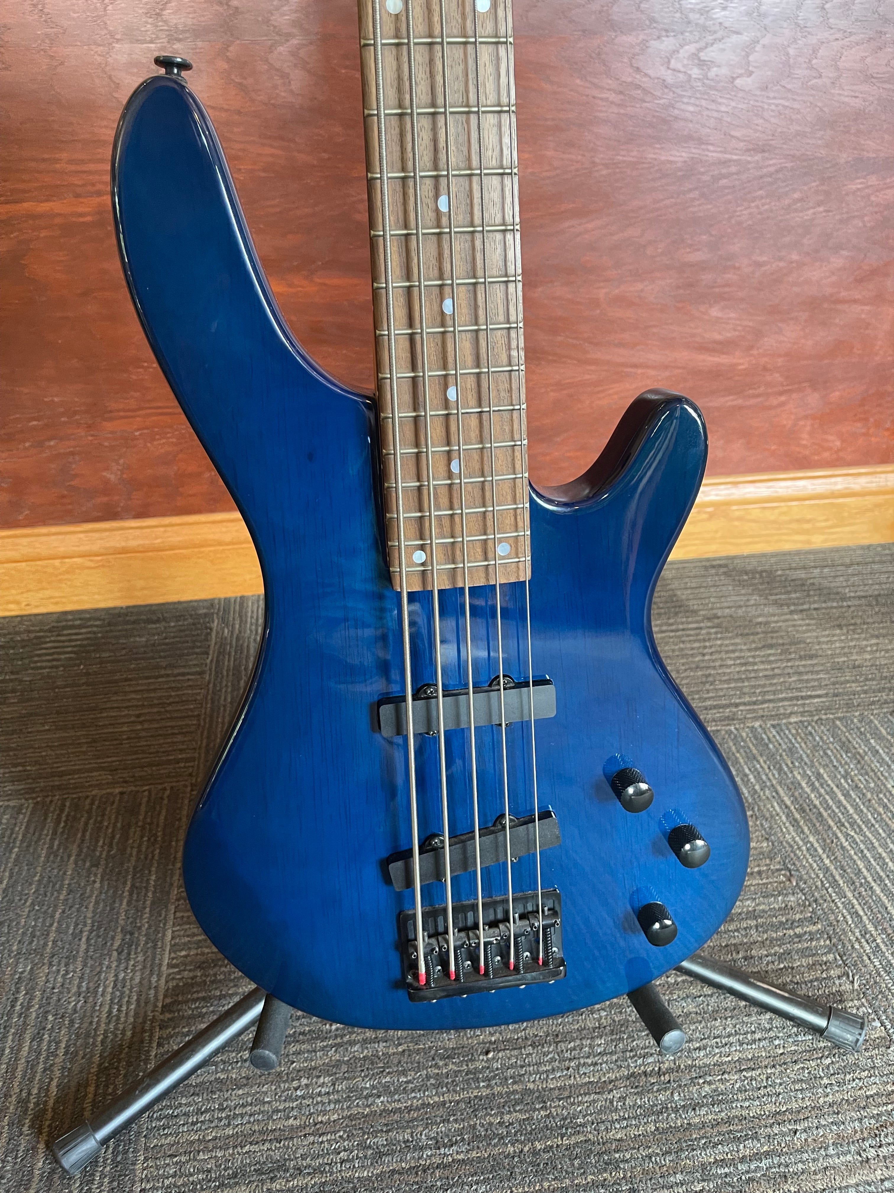 Davison 5 String Striking Blue