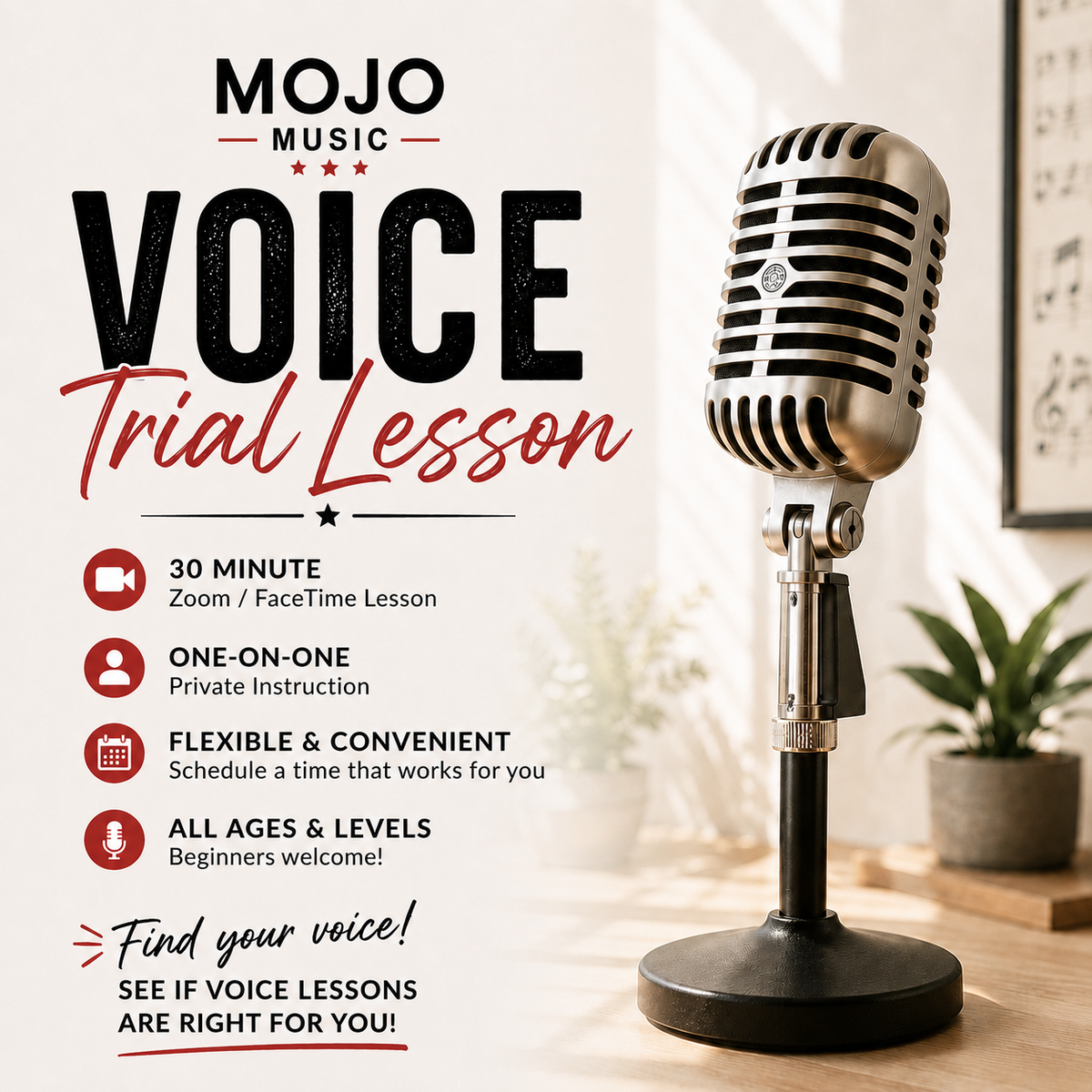 30-Minute Online Voice Trial Lesson | One-on-One Zoom or FaceTime